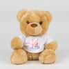 Bear in a t-shirt Thumbnail