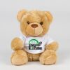 Bear in a t-shirt Thumbnail