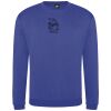 Pro sweatshirt Thumbnail